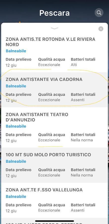 Le Ortensie In Centro E Vicino Al Mare Pescara Eksteriør billede